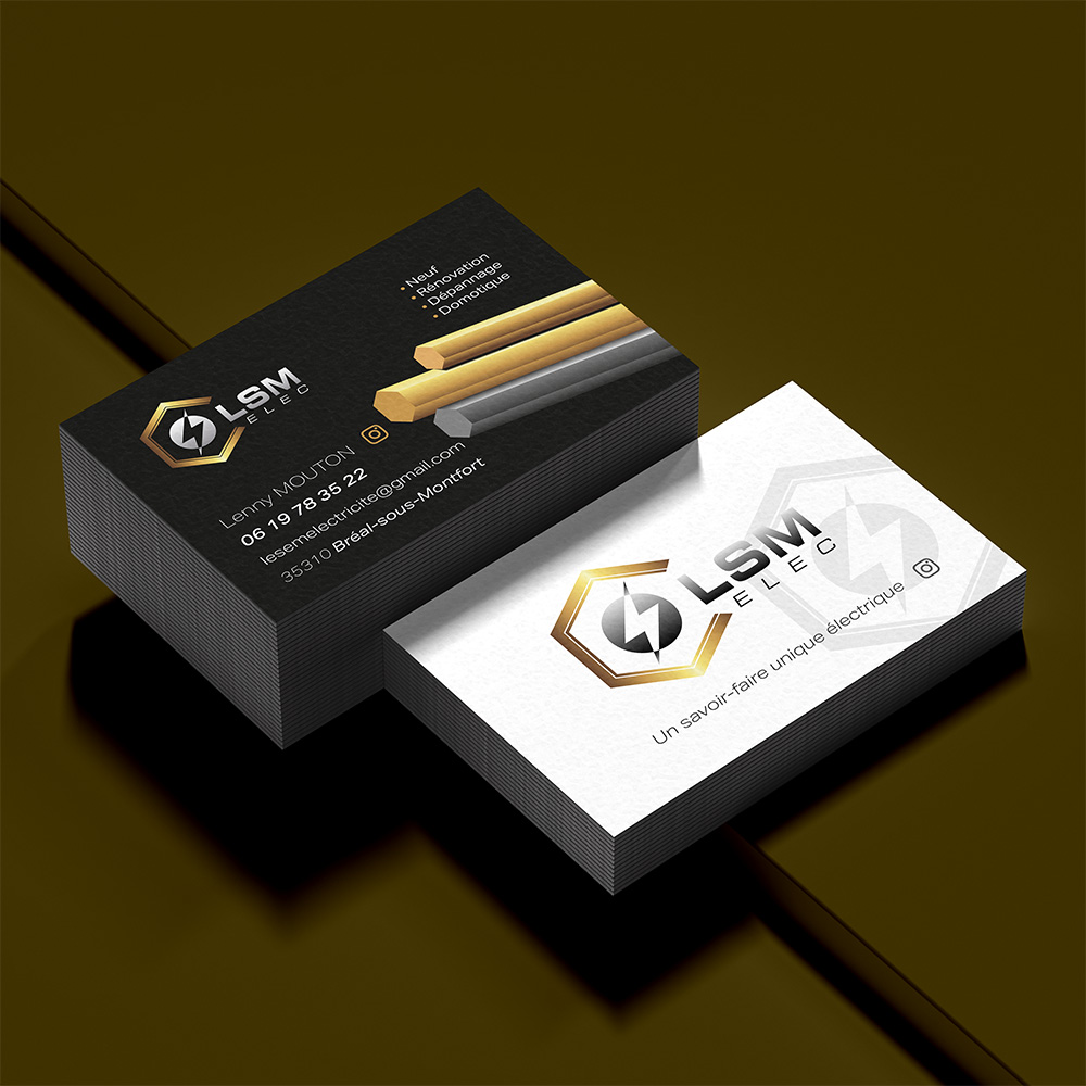 lsm-elec-cartes-visite